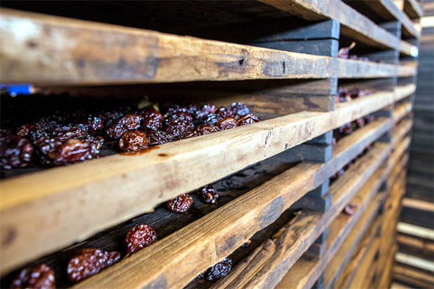 Преварени за суву шљиву